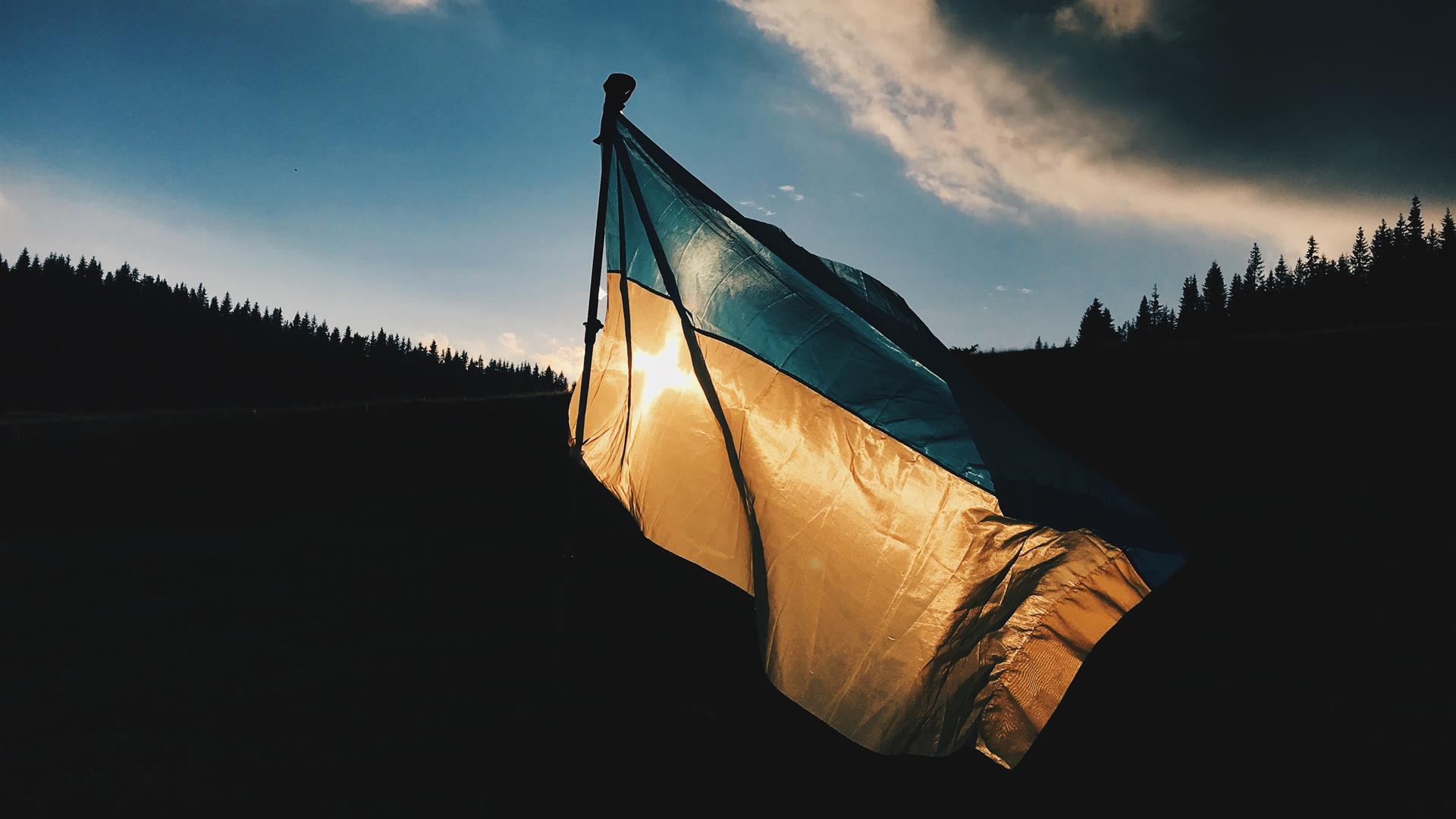 Bandiera ucraina 