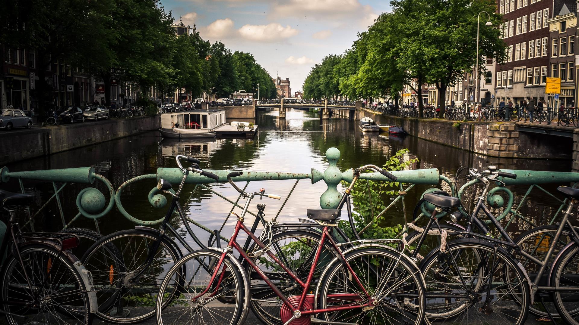 Bici Amsterdam Di Jace Grandinetti Unsplash