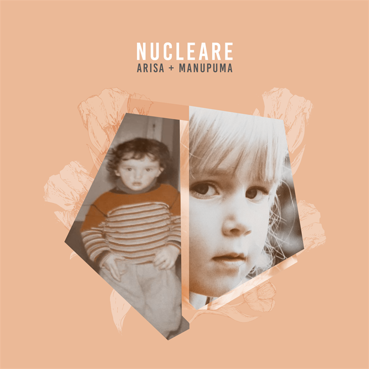 Cover Nucleare