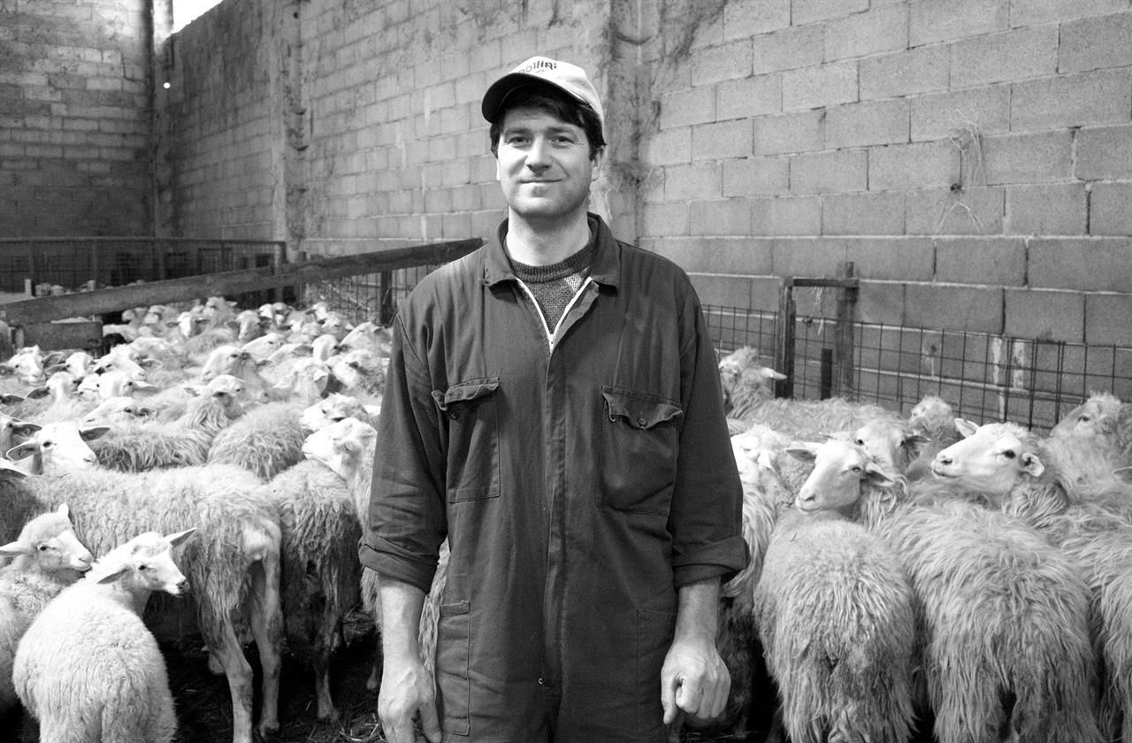 47 Ioan Dobrica Tra Le Pecore