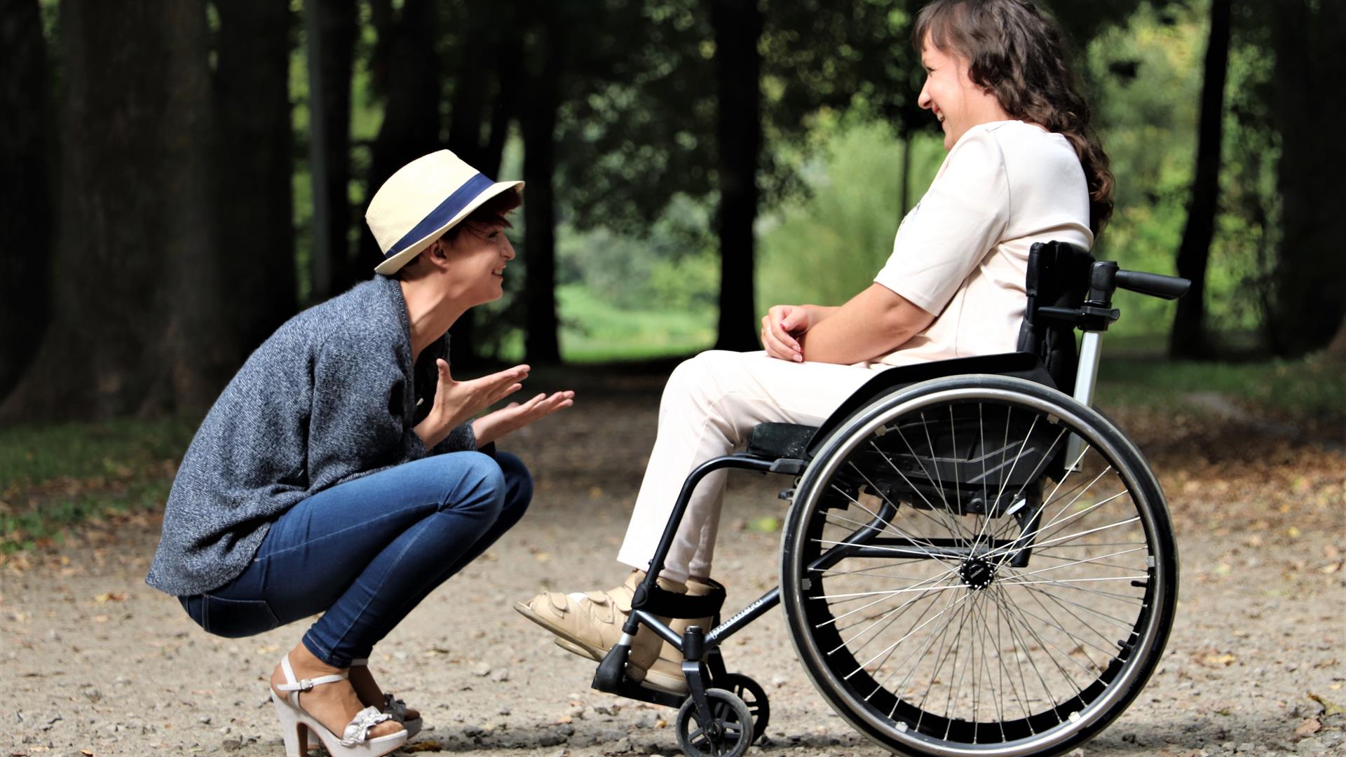 Disabilità Wheelchair 2026764