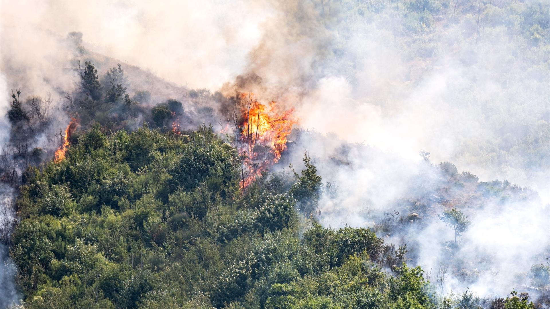 Incendio A Monte Stella, Salerlo Foto Di Angelo Concilio  - 2021