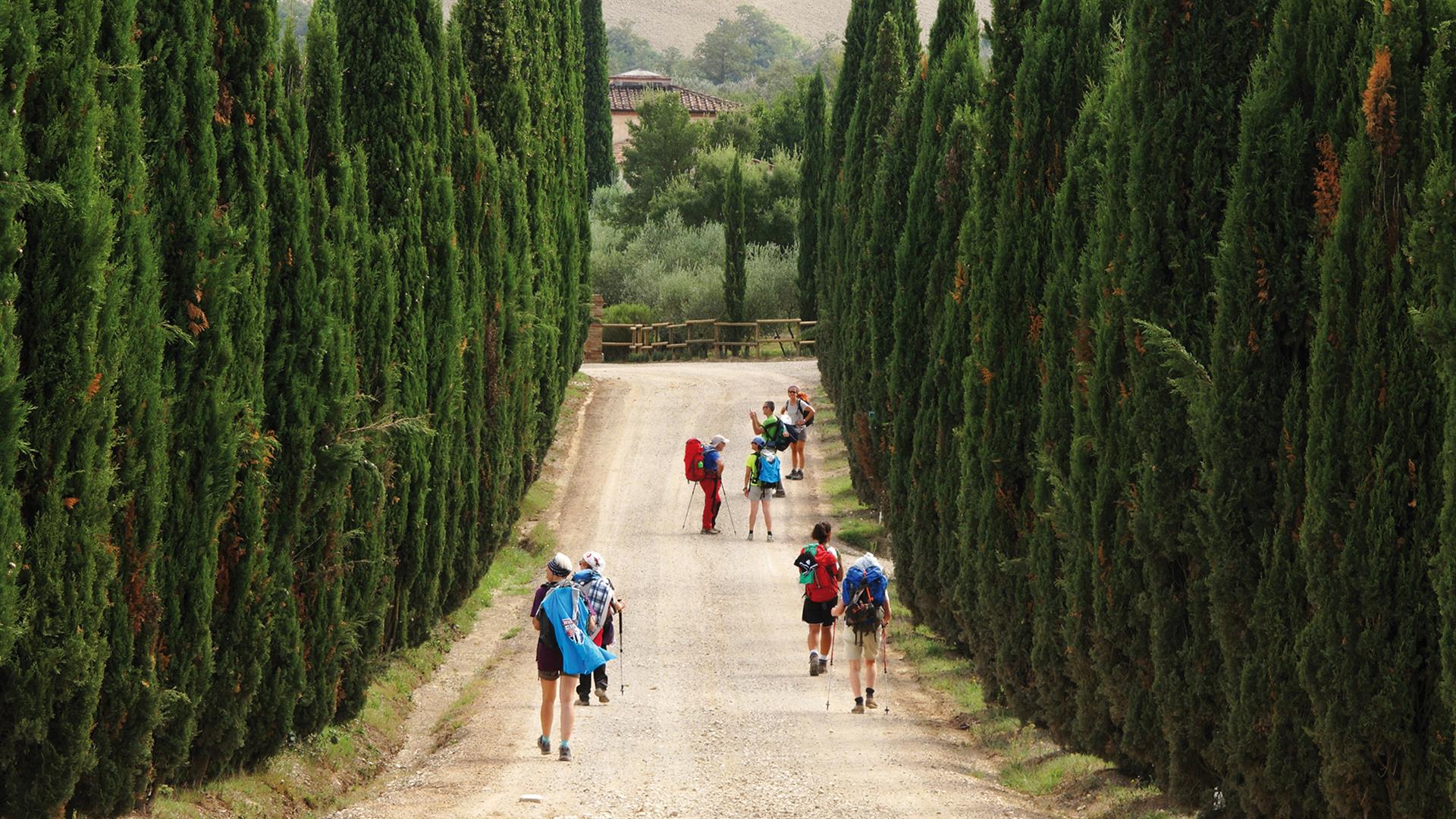 La Via Francigena SI Montalcino Photo Credits Roberta Ferraris©