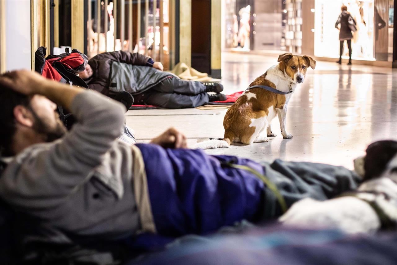 Save The Dogs scende in strada a Milano per i cani dei senza dimora