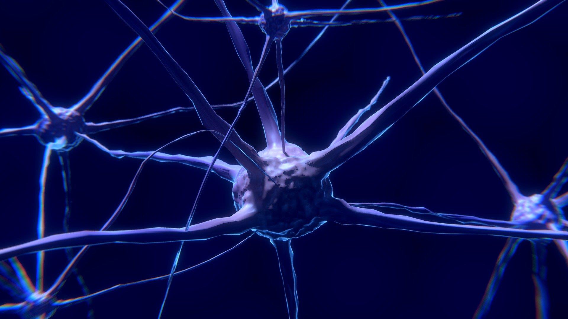 Nerve Cells Pixabay